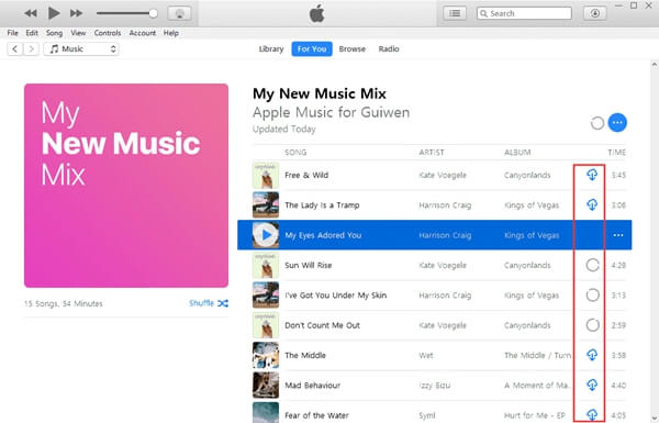 Run Apple Music Converter