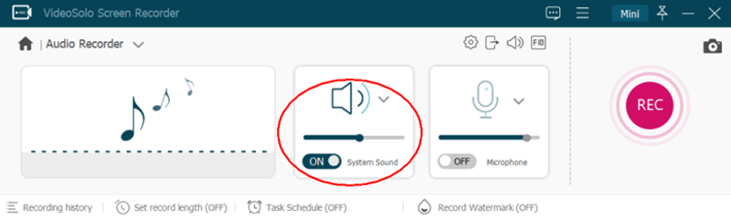 VideoSolo Screen Recorder Adjust Volume